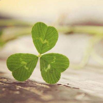 好运彩下载手机版