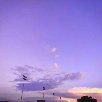 乐发彩票APP下载下载手机版